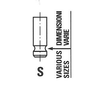 Всмукателен клапан FRECCIA R6439/SNT за TOYOTA YARIS (_P13_) товарен от 2012