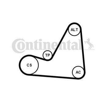 Комплект пистов ремък CONTINENTAL CTAM 6PK1130K2 за RENAULT MODUS (F/JP0_) от 2004 до 2012