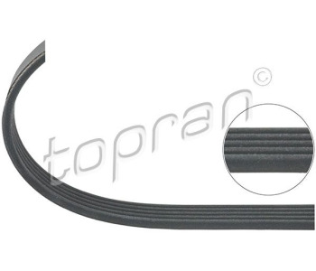 Пистов ремък TOPRAN 100 741 за SEAT IBIZA II (6K1) от 1993 до 1999